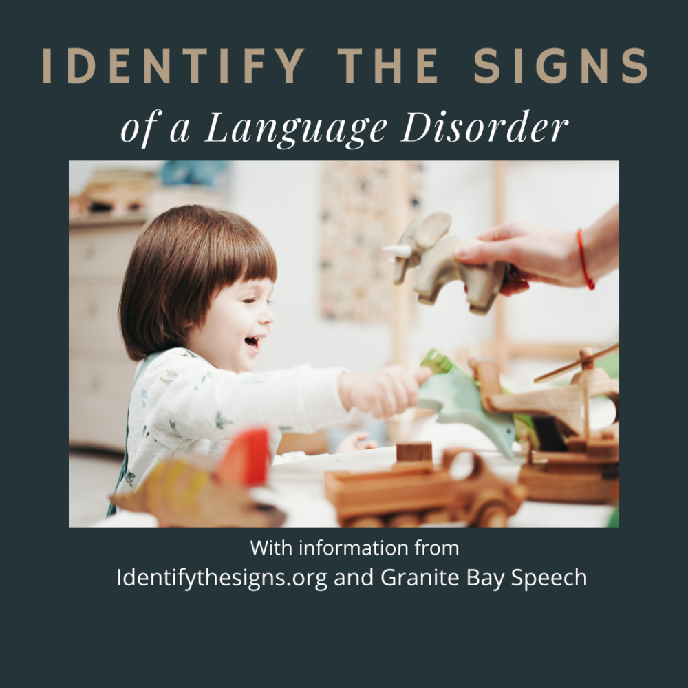 identify-the-signs-of-a-language-disorder-granite-bay-speech